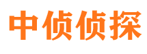 洛川侦探